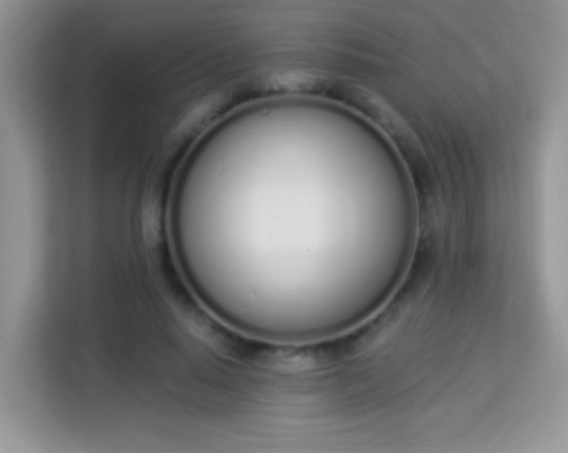 X0000114000640200910091404