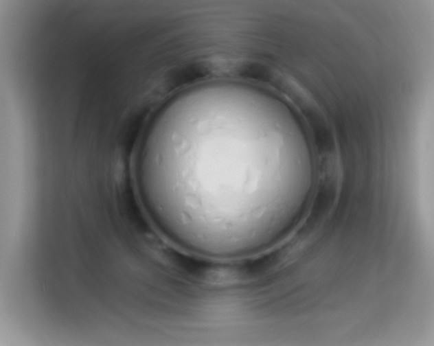 X0000114000655200910091404