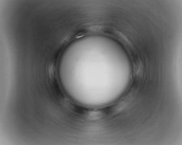 X0000114000669200910091404