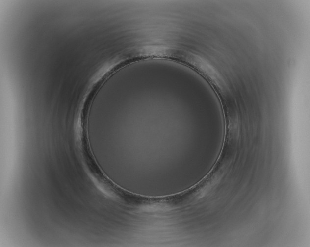 X0000114000674200910091403