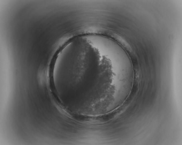 X0000114000678200910091403