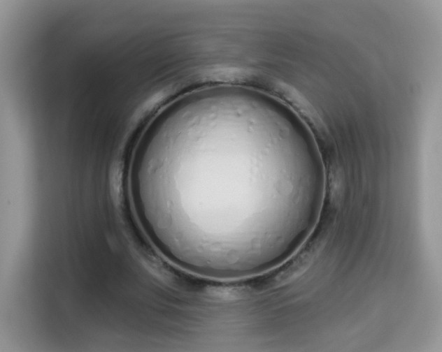 X0000114000679200910091403