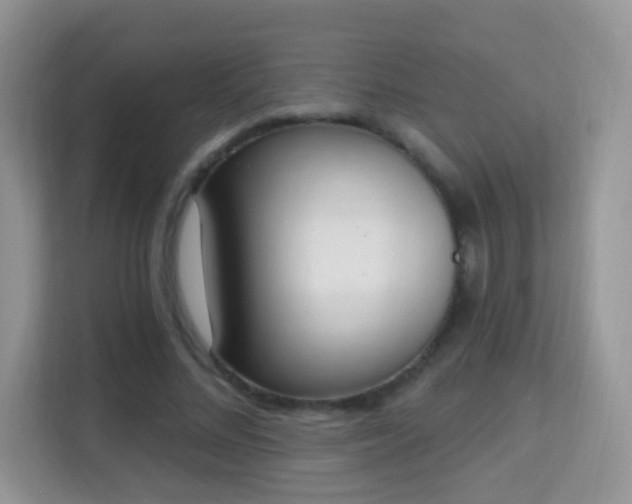X0000114000684200910091403