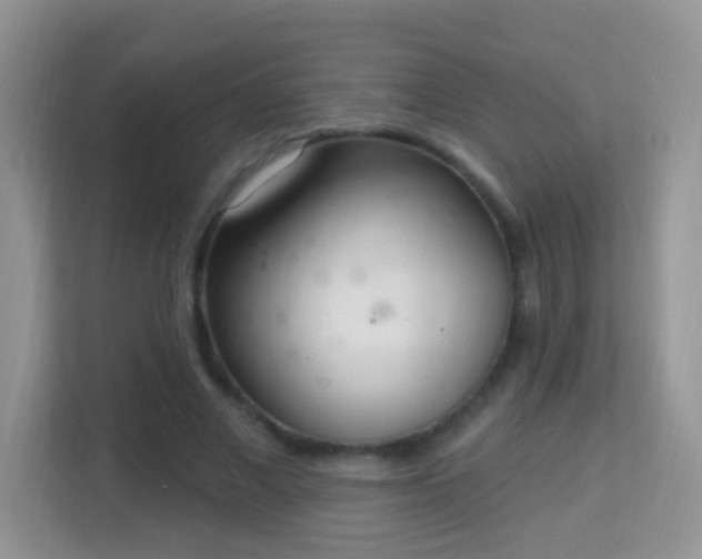 X0000114000685200910091403