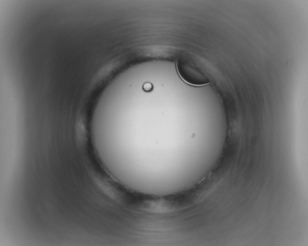 X0000114000688200910091403