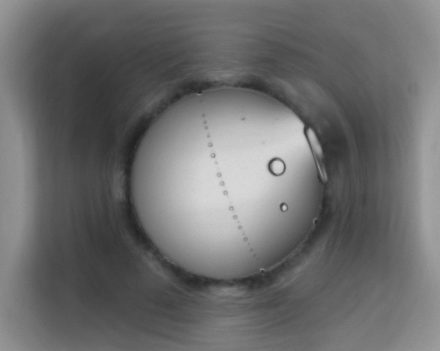 X0000114000689200910091403