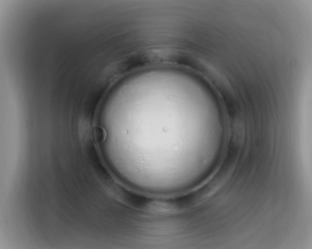 X0000114000699200910091403