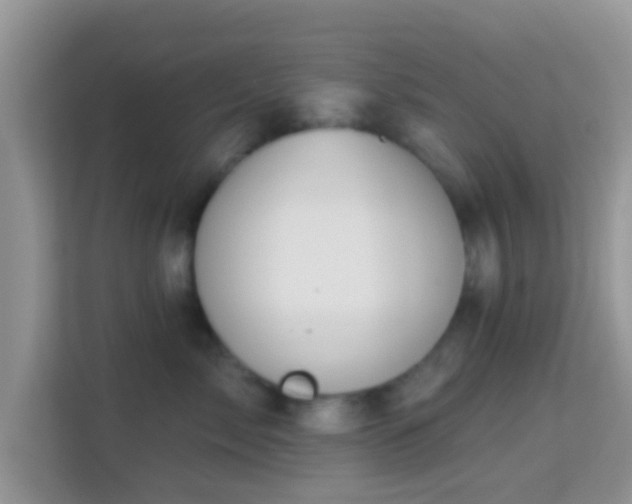 X0000114000717200910091403