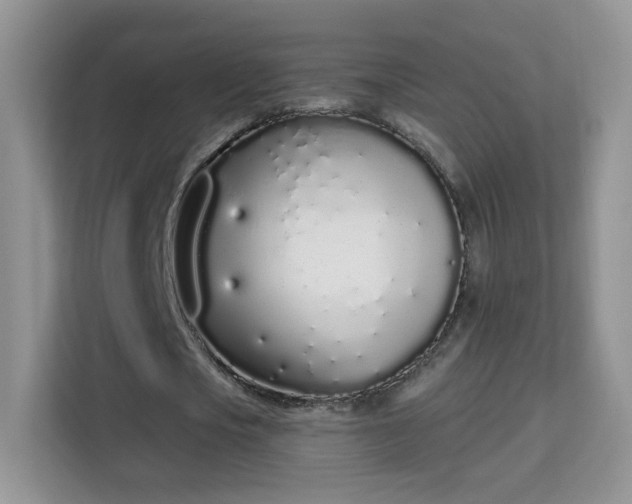 X0000114000721200910091402