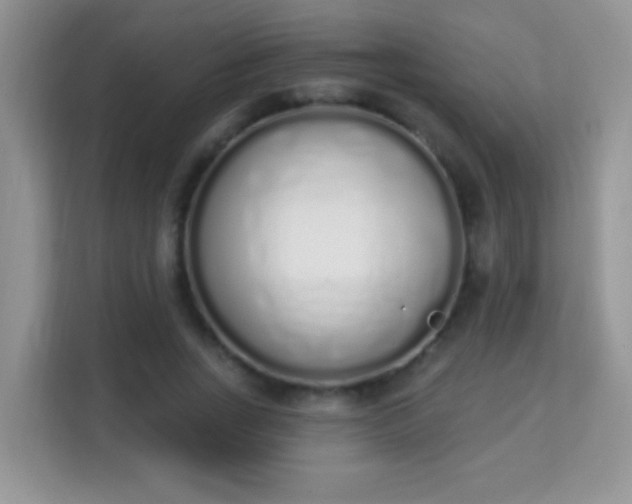 X0000114000735200910091402