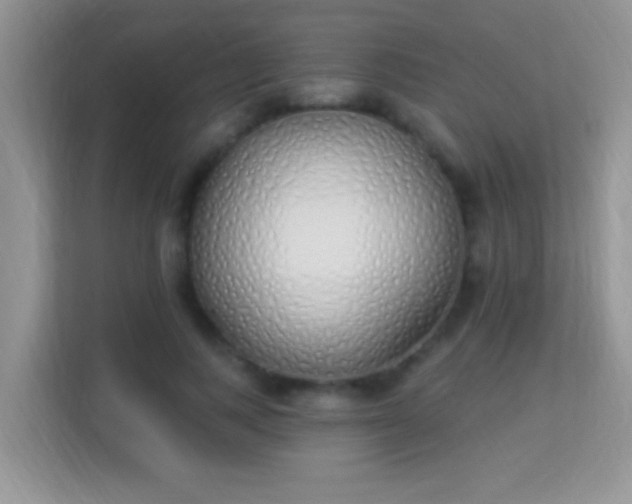 X0000114000743200910091402