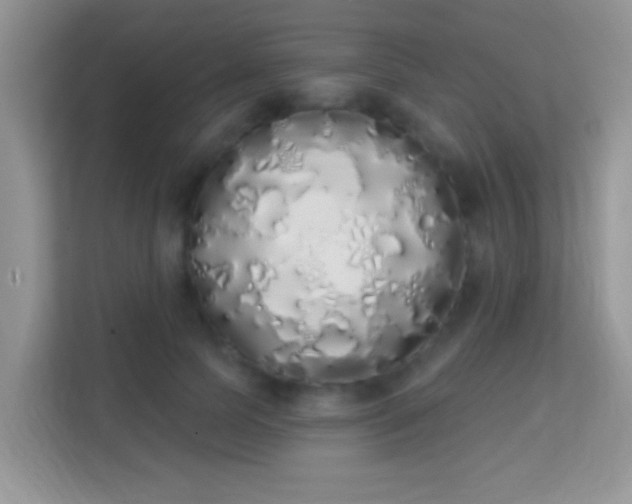 X0000114000745200910091402