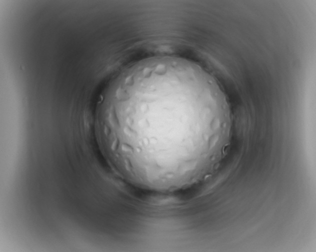 X0000114000747200910091403