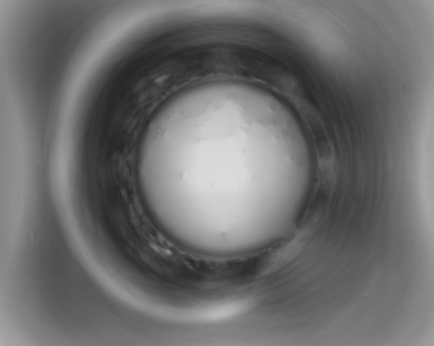 X0000114000765200910091403