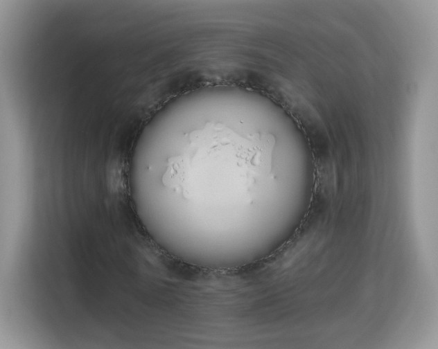 X0000114000770200910091402