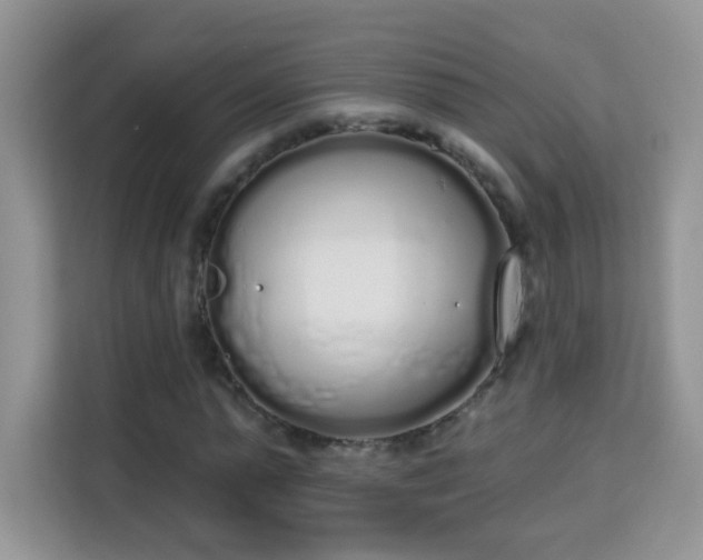 X0000114000775200910091402