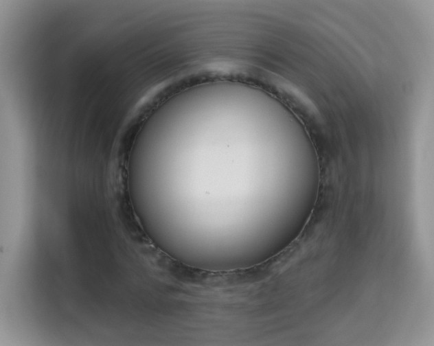 X0000114000776200910091402