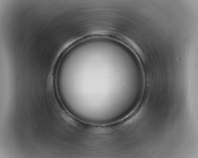 X0000114000779200910091402