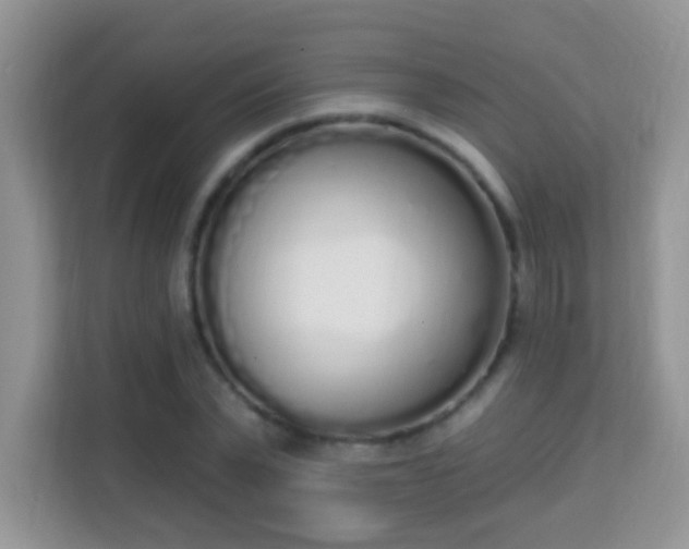 X0000114000783200910091402