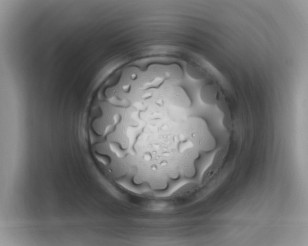 X0000114000794200910091402