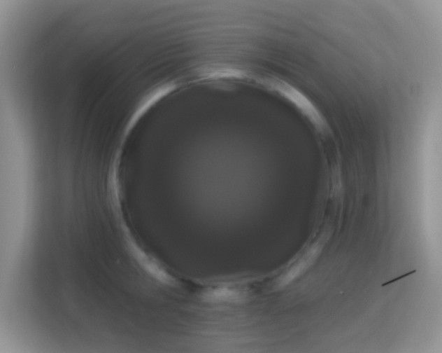 X0000114000806200910091402