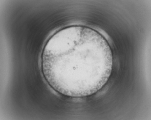 X0000114000807200910091402