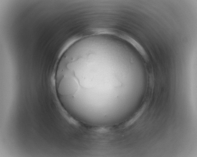 X0000114000814200910091402