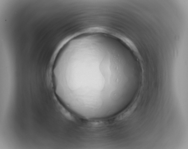 X0000114000816200910091402