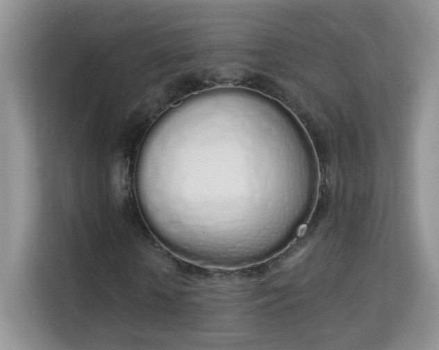 X0000114000818200910091401