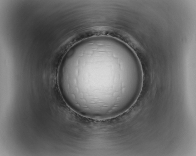 X0000114000821200910091401