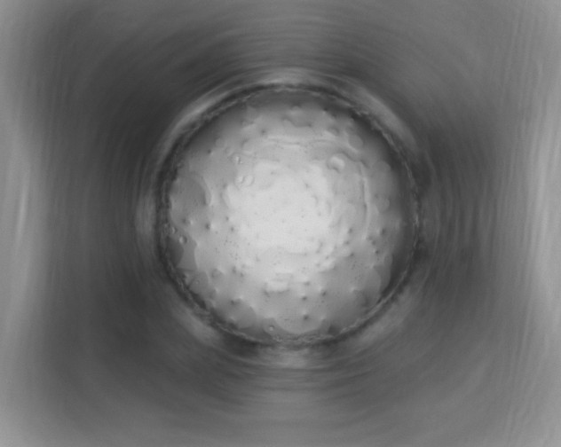X0000114000831200910091401