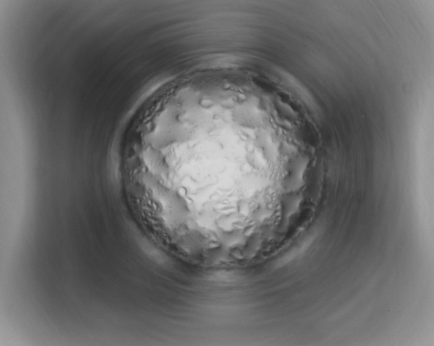 X0000114000835200910091401
