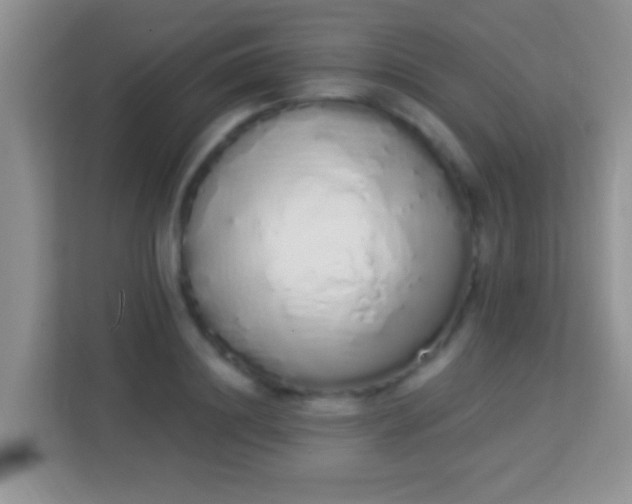 X0000114000844200910091401