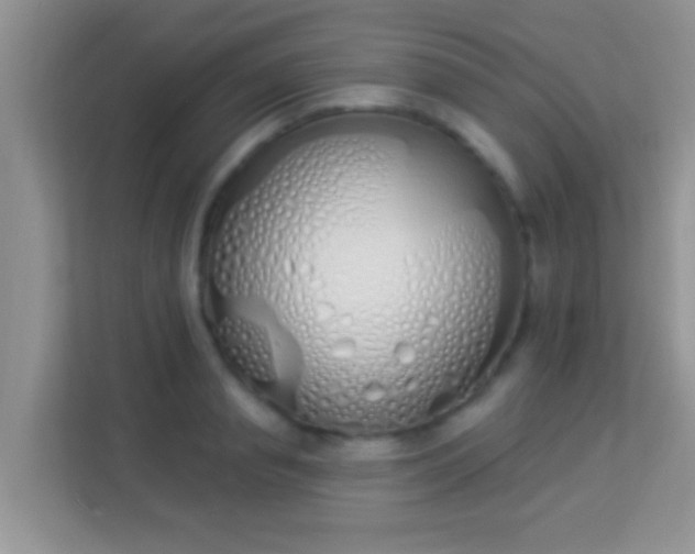 X0000114000845200910091401