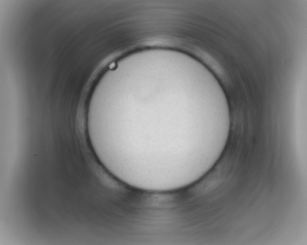 X0000114000848200910091401