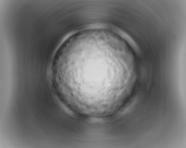 X0000114000852200910091401