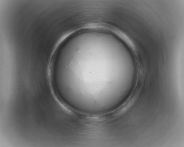 X0000114000855200910091401