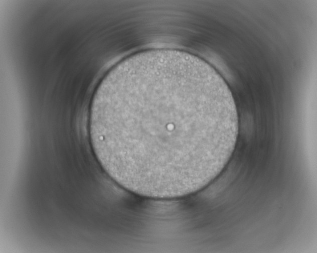 X0000114000856200910091401
