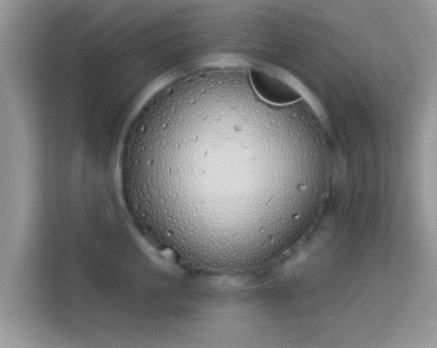 X0000114000861200910091401
