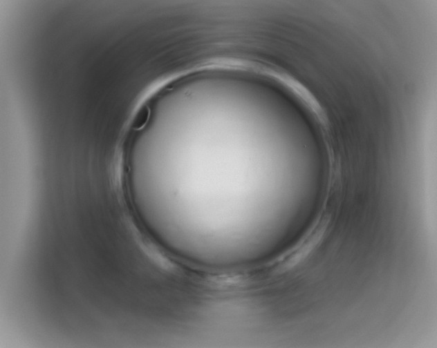 X0000114000862200910091401