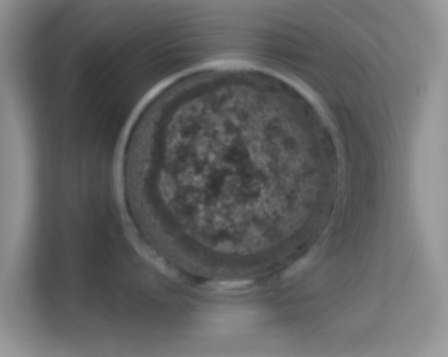 X0000114000864200910091401
