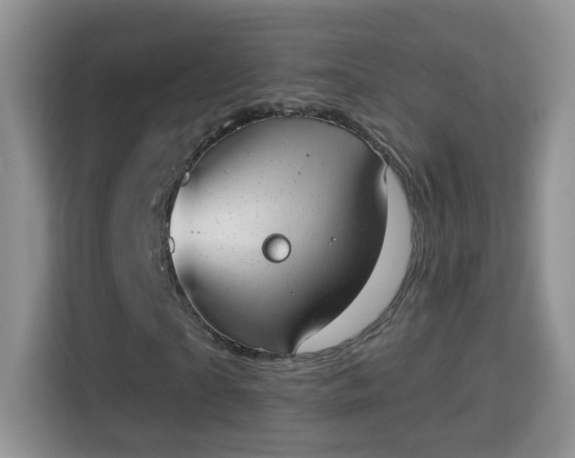 X0000114000865200910091401