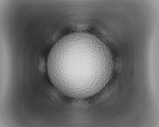 X0000114000866200910091401
