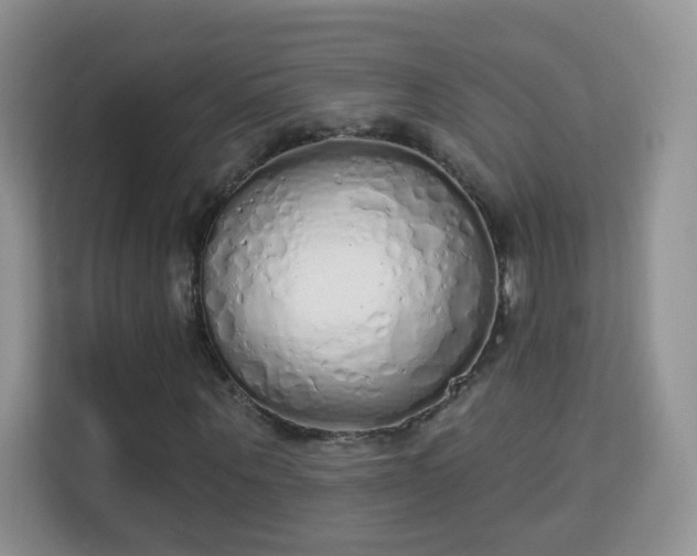 X0000114000867200910091401