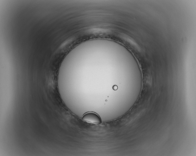 X0000114000869200910091401