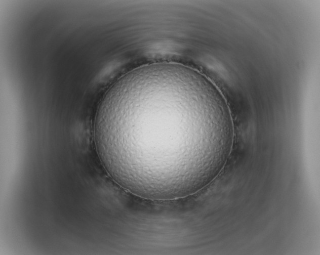 X0000114000870200910091401