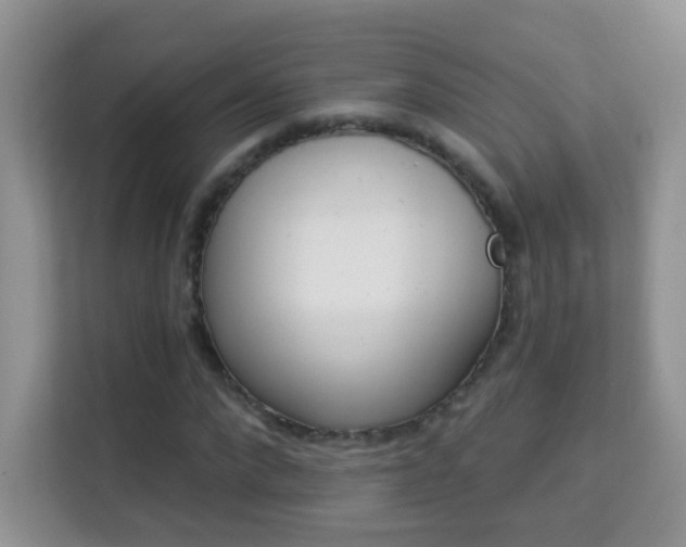 X0000114000872200910091401
