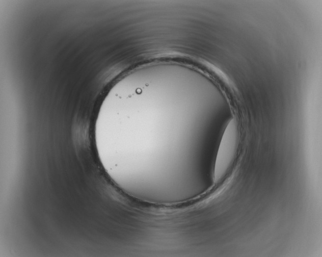 X0000114000873200910091401