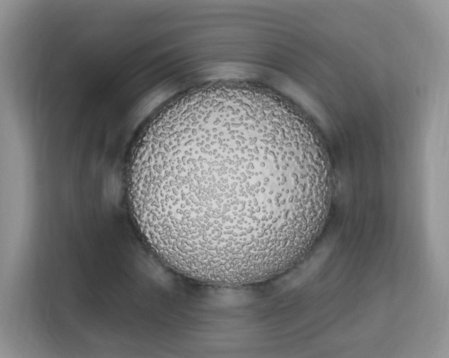 X0000114000874200910091401