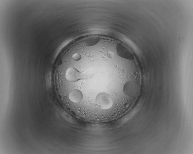 X0000114000875200910091401